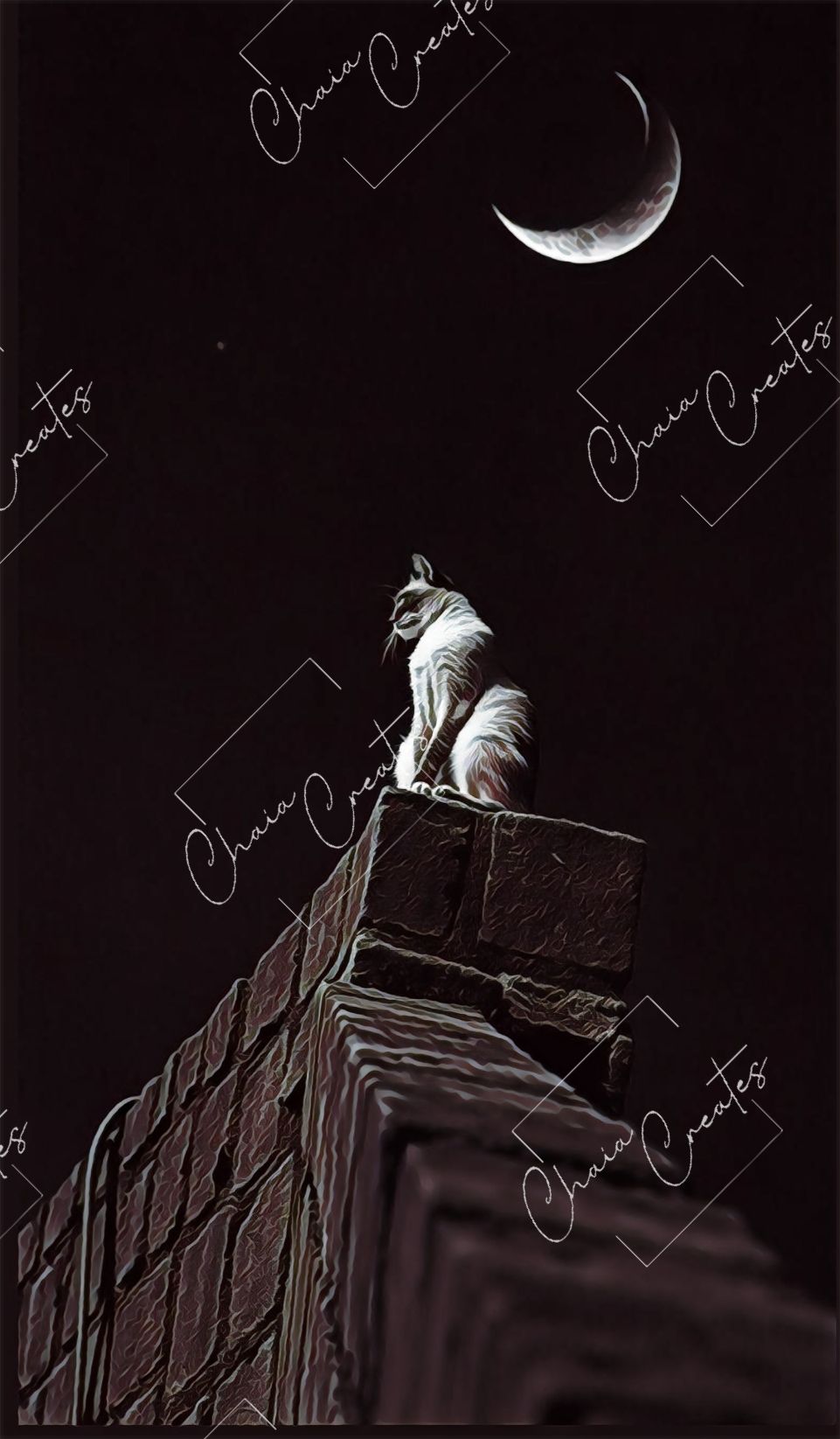 Stargazer’s Perch